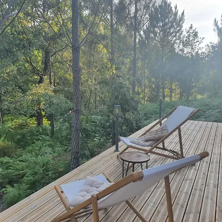 Maison Dans La Foret Des Landes *