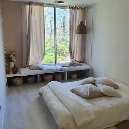 Maison Dans La Foret Des Landes