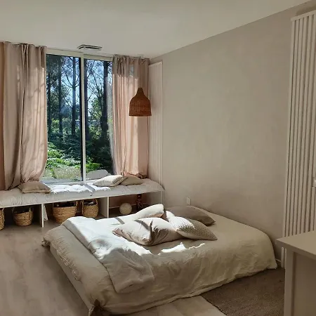 Maison Dans La Foret Des Landes Belhade